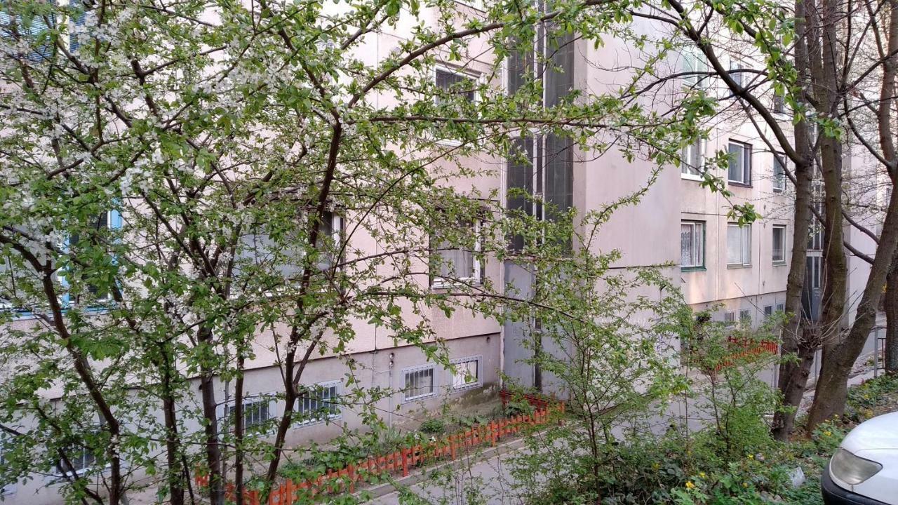 Gesztenyes Apartman Miskolc Exterior foto